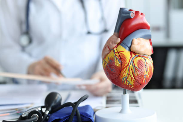 cardibg